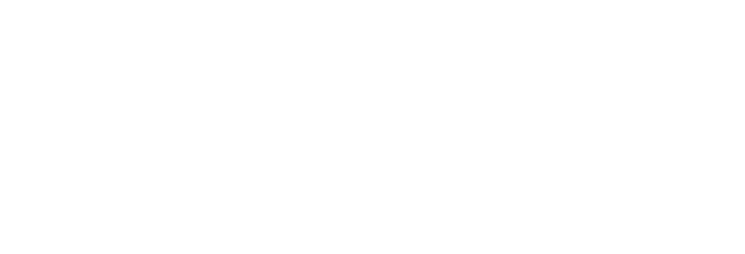 dubber-logo Team Logo